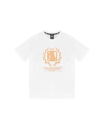 Koszulka męska t-shirt Diil Laur biało/pomarańczowa