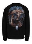 Bluza męska bez kaptura Pit Bull Hero czarna