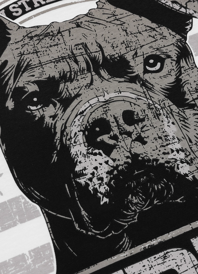 Koszulka męska T-Shirt Pitbull Troublemaker biała