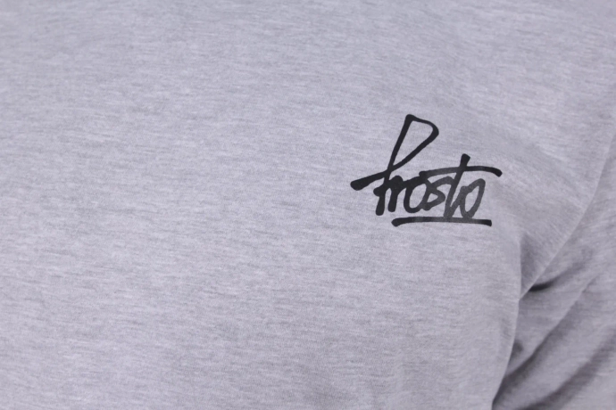 Koszulka longsleeve męski Prosto Klasyk Ergo szary