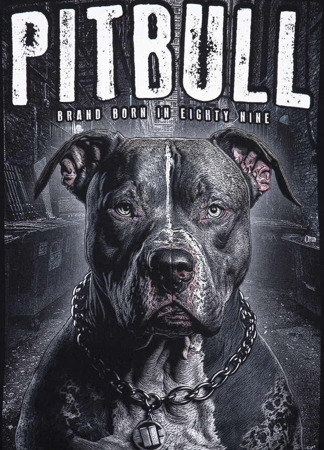 Bluza męska Pitbull Pit Bull Street King crewneck czarna