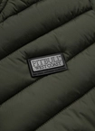 Kurtka przejsciowa Pit Bull Halley Jacket olive