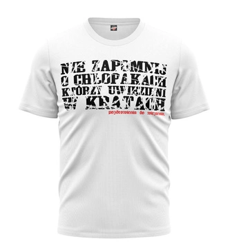 Koszulka męska T-shirt Public Enemy PDW Nie Zapomnij O Chłopakach biały