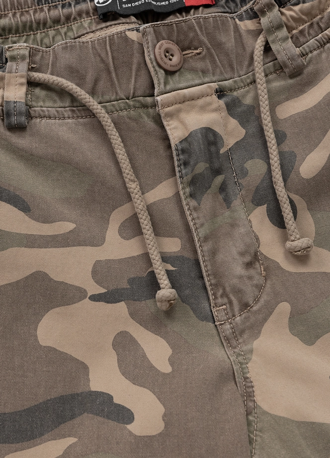 Spodnie męskie jogger bojówki Pitbull Proctor camo
