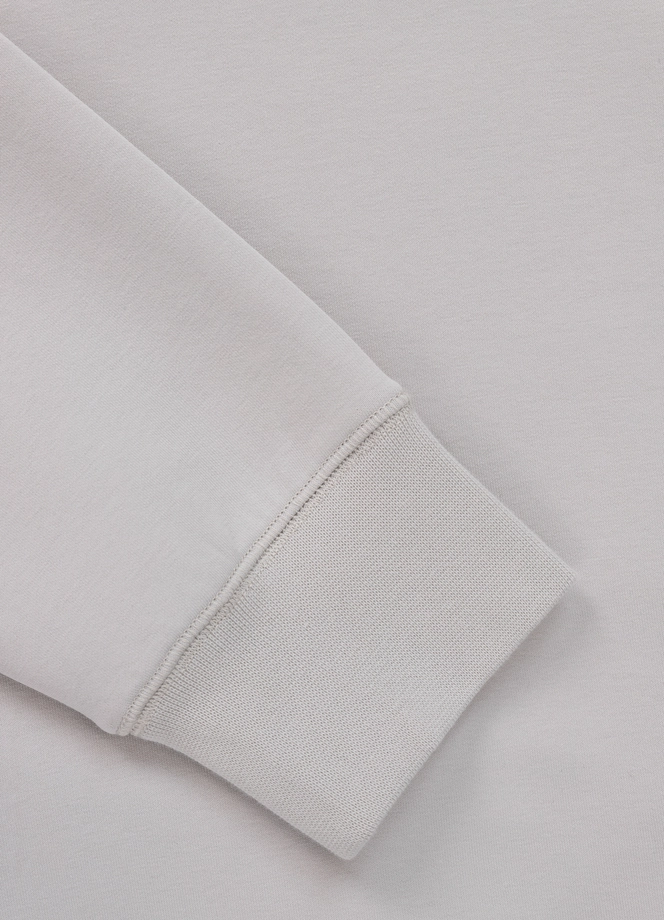 Bluza męska z kapturem Pitbull Pit Bull Dogwood złamana biel