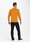 Bluza bez kaptura Pitbull TNT crewneck honey yellow