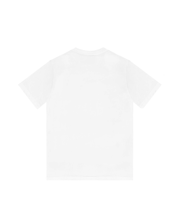 Koszulka męska t-shirt Diil Pallet biała