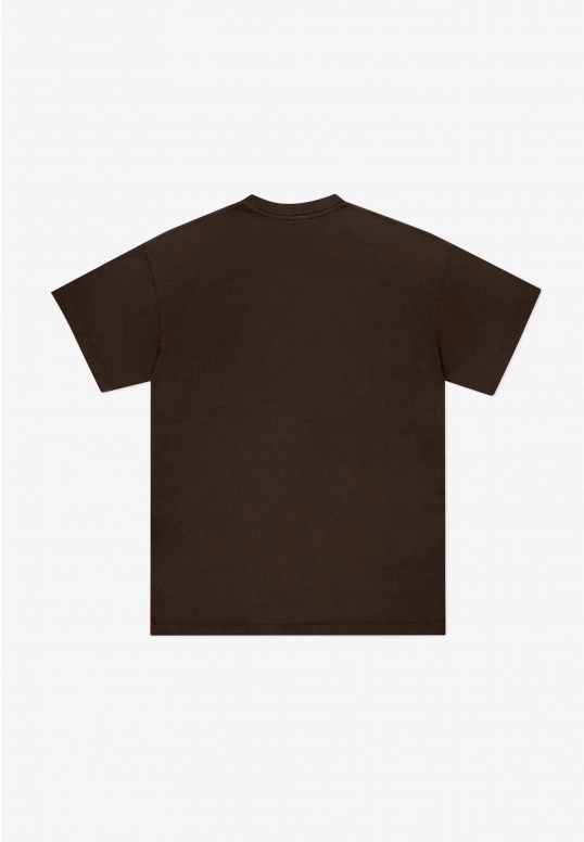 Koszulka męska t-shirt Prosto Plurt brązowa