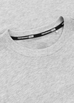 Koszulka męska T-Shirt Pit Bull Pitbull Scott szara