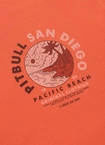 Bluza męska z kapturem Pitbull Pit Bull Planet Surf łososiowa pomarańczowa