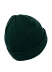 Czapka zimowa Pit Bull Small Logo Beanie zielona