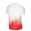 Koszulka męska T-shirt Patriotic Cls Poland biało/czerwona