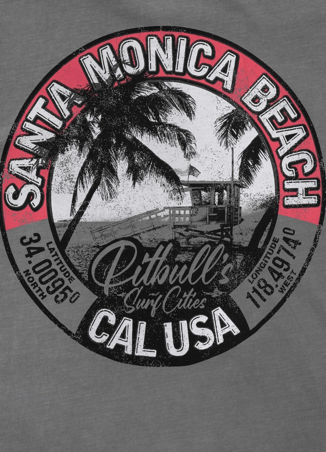 Koszulka męska T-Shirt Pit Bull Pitbull Denim Washed Oceanside 25 szara