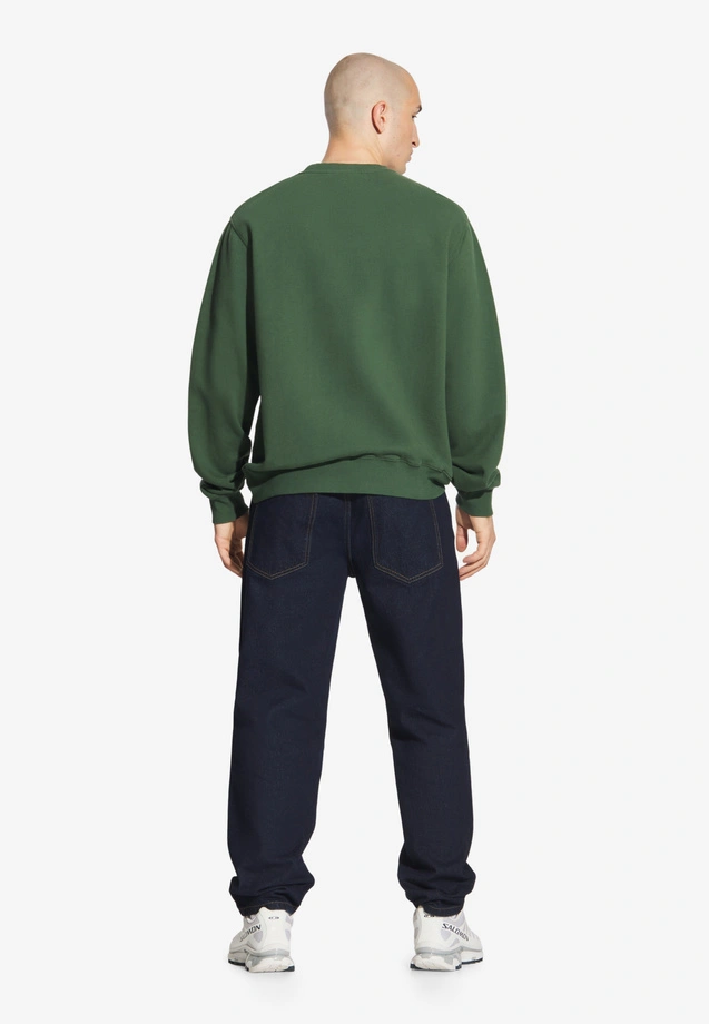 Bluza męska Prosto College crewneck khaki zielona