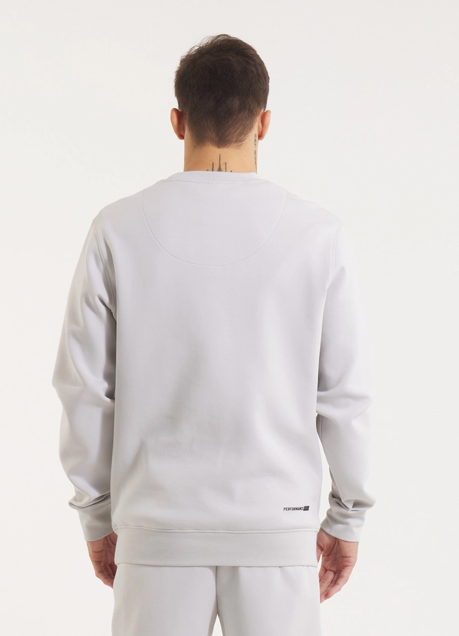 Bluza męska bez kaptura Pitbull Pit Bull Dogwood złamana biel