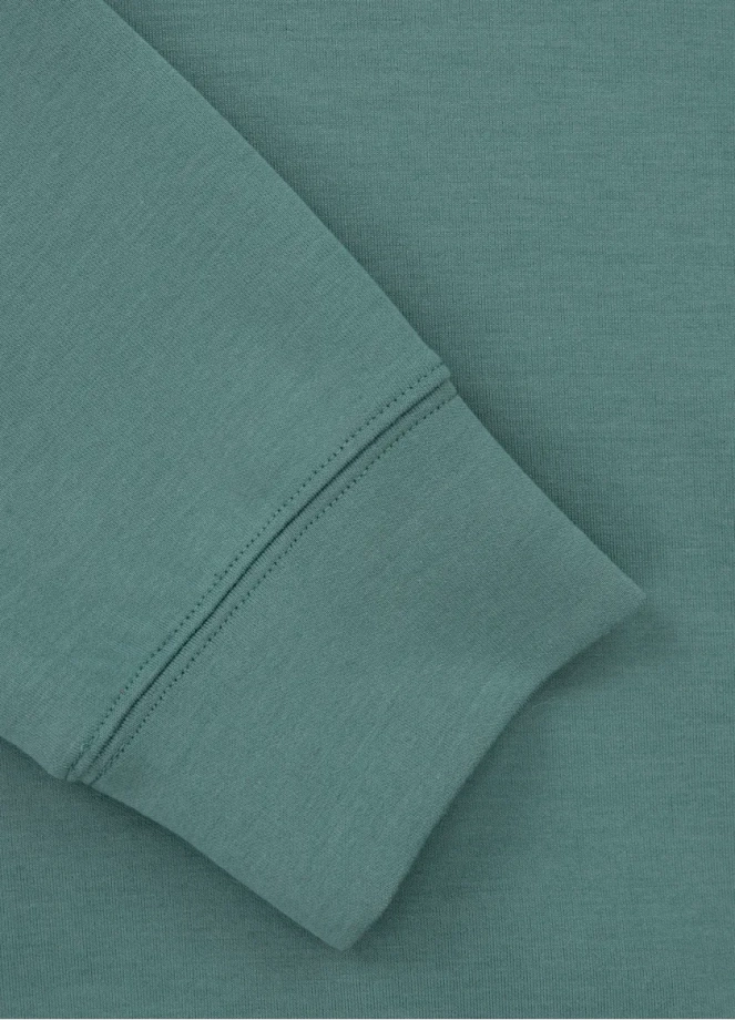 Bluza męska z kapturem Pitbull Pit Bull Explorer hooded miętowa zielona