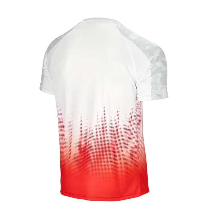 Koszulka męska T-shirt Patriotic Cls Poland biało/czerwona