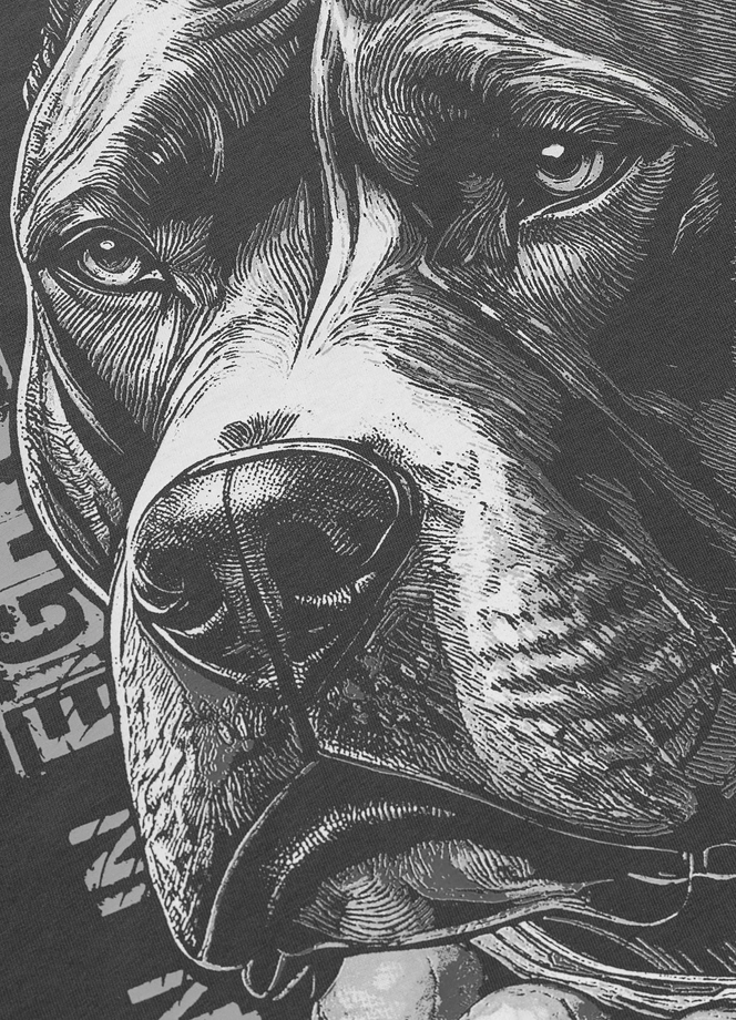 Koszulka męska T-Shirt Pitbull West Coast Blacky szary