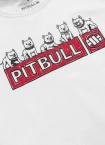 Koszulka t-shirt damska Pit Bull Pitbull Softbite biała