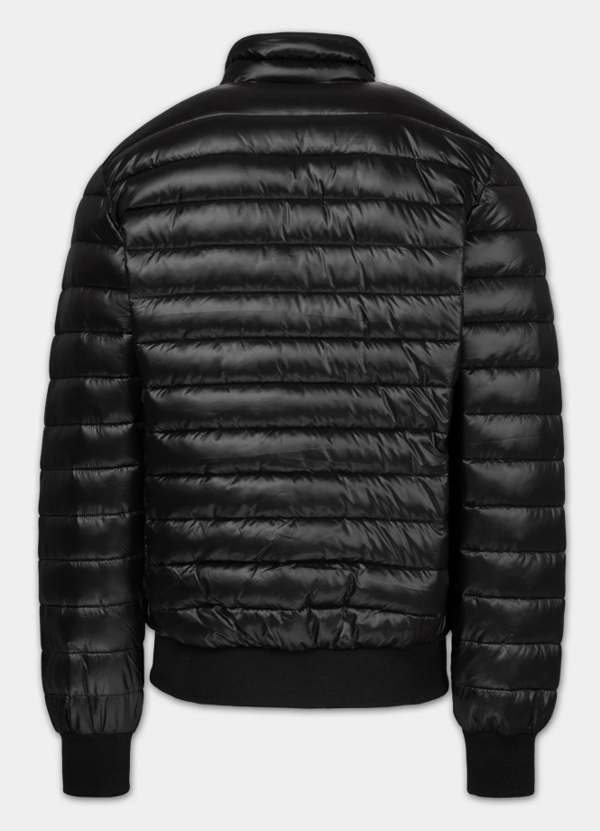 Kurtka męska przejściowa Pit Bull Harper czarna