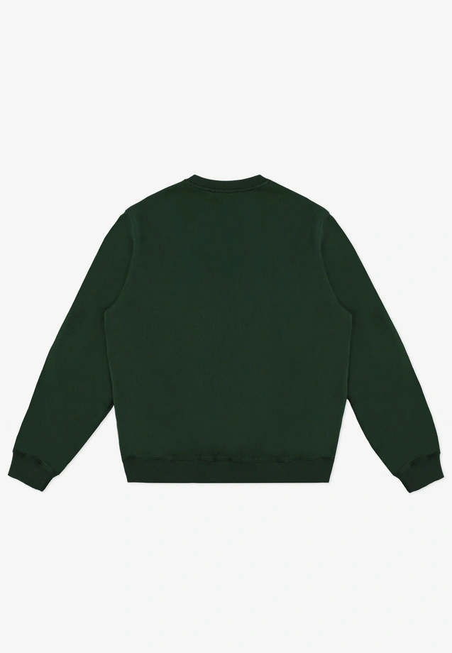 Bluza męska Prosto College crewneck khaki zielona