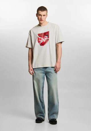 Koszulka męska t-shirt Prosto Damage Target szara