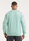 Bluza męska bez kaptura Pitbull Pit Bull Tape Nugget miętowa zielona