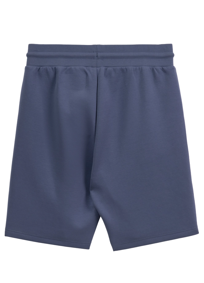 Spodenki szorty dresowe męskie Pitbull Sampson niebieskie