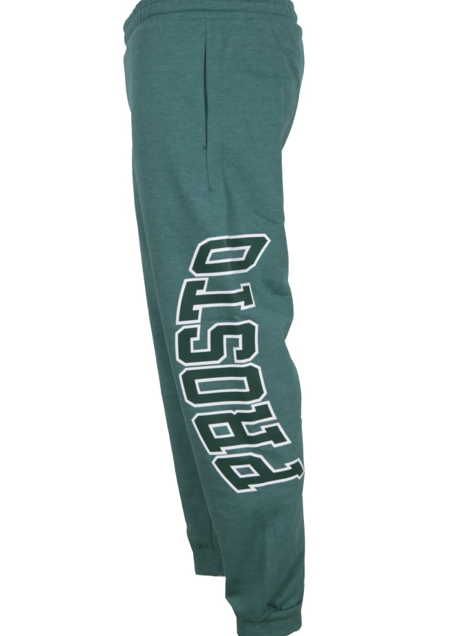 Spodnie dresowe męskie Prosto Klasyk Flangor zielone