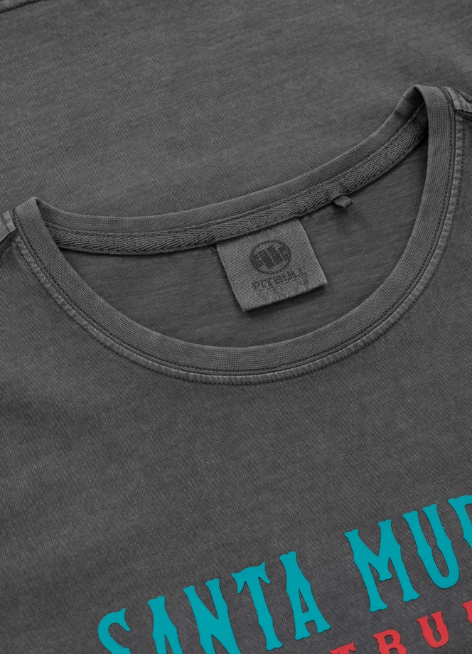 Koszulka damska T-shirt Pit Bull Santa Muerte 25 szara