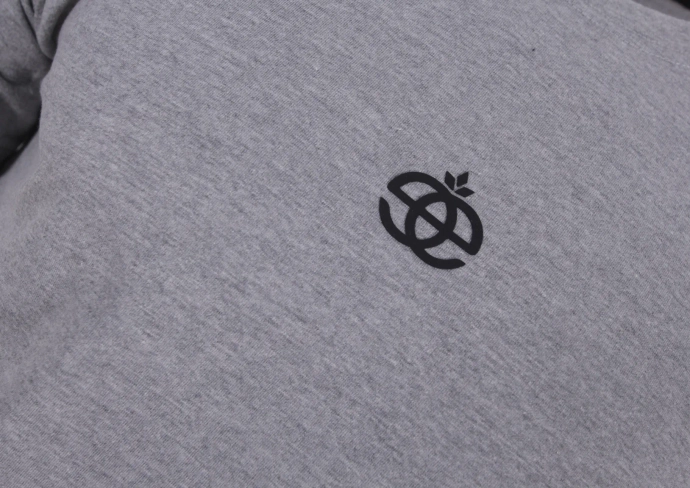 Koszulka męska T-shirt Elade Icon Mini Logo 3D szara