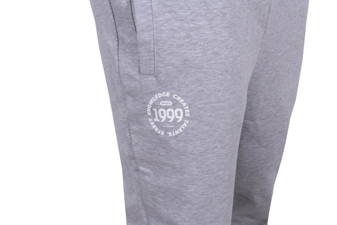 Spodnie dresowe męskie Prosto Klasyk Oflot szare