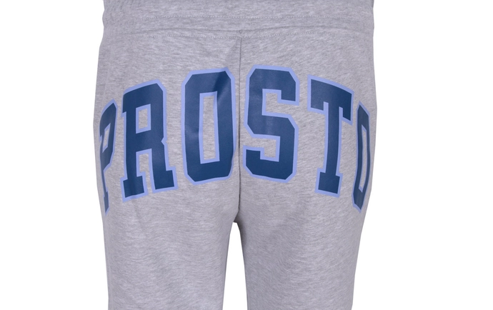 Spodnie dresowe damskie Prosto Klasyk Colleges szare