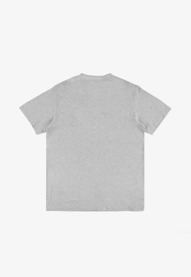 Koszulka męska t-shirt Prosto Biglog szara