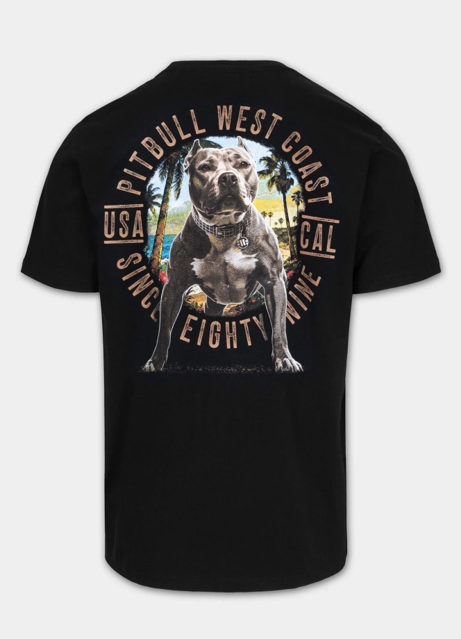 Koszulka męska T-Shirt Pit Bull Beach Boy czarna