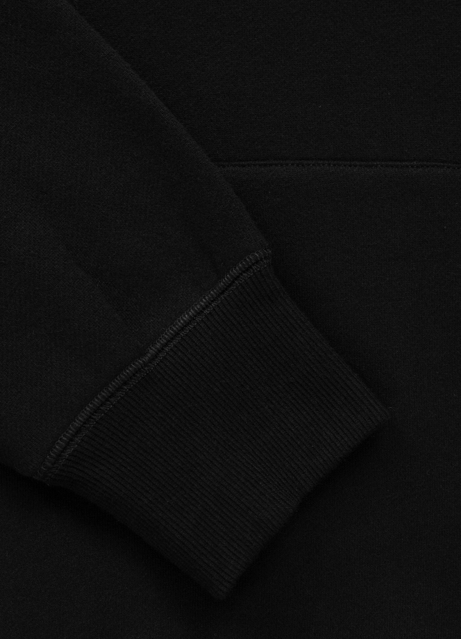 Bluza męska z kapturem Pit Bull Small Logo 25 czarna