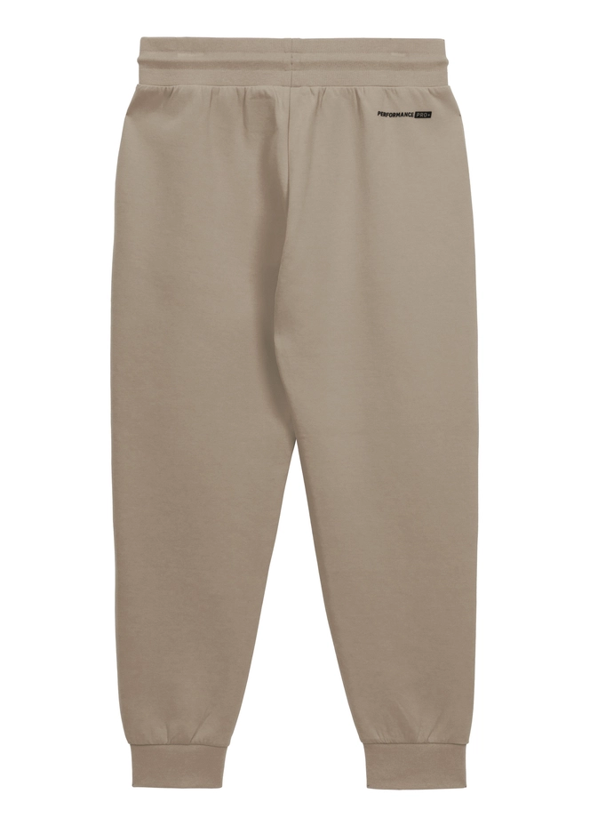 Spodnie męskie dresowe Pitbull Pit Bull Dogwood beżowe