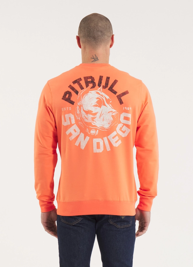 Bluza męska bez kaptura Pitbull Pit Bull Dog SD łososiowa pomarańczowa