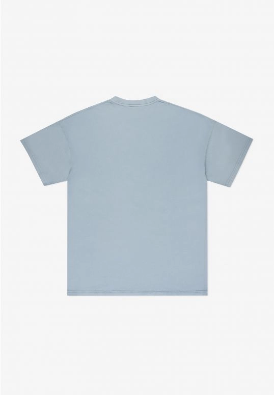 Koszulka męska t-shirt Prosto Varsity jasno niebieska