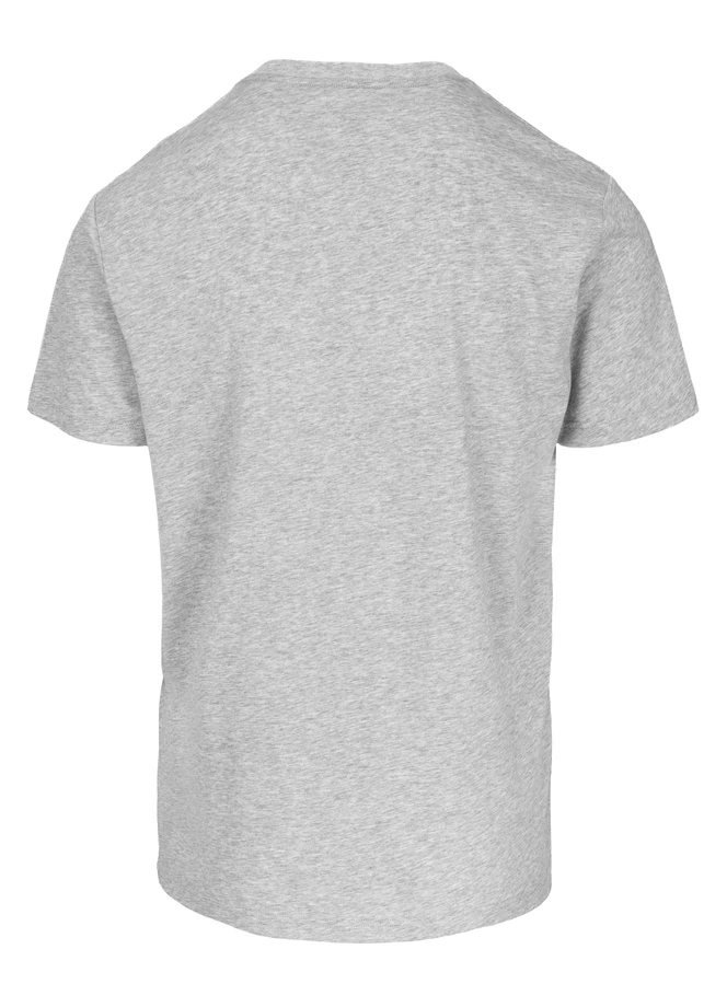 Koszulka męska T-Shirt Pit Bull Pitbull Scott szara