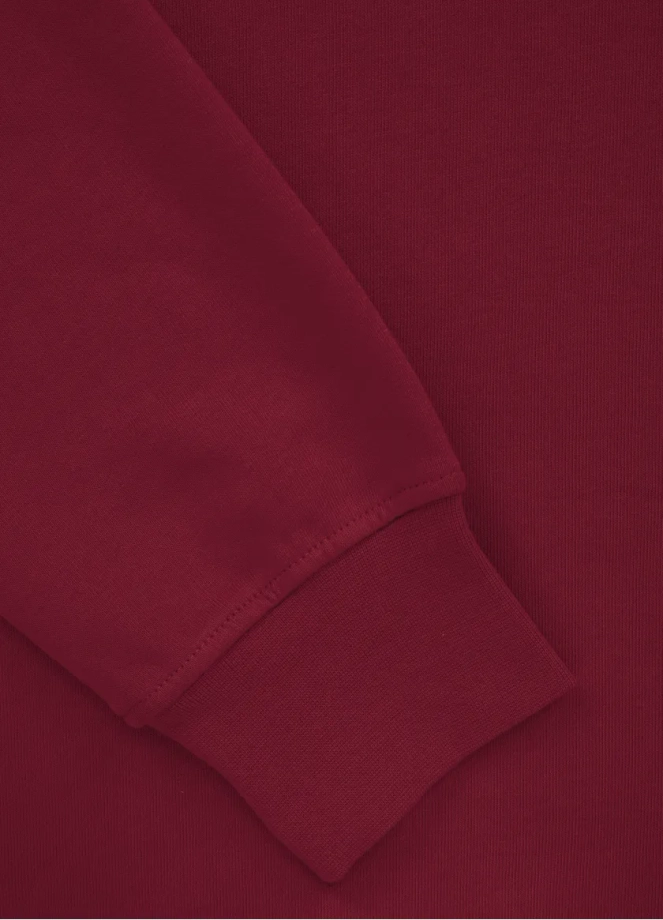 Bluza meska z kapturem Pitbull Pit Bull Hilltop Terry 23 hooded bordowa