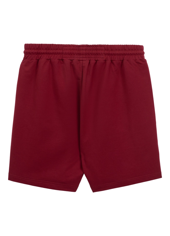 Spodenki szorty dresowe męskie Pitbull Pit Bull Tape Nugget bordowe