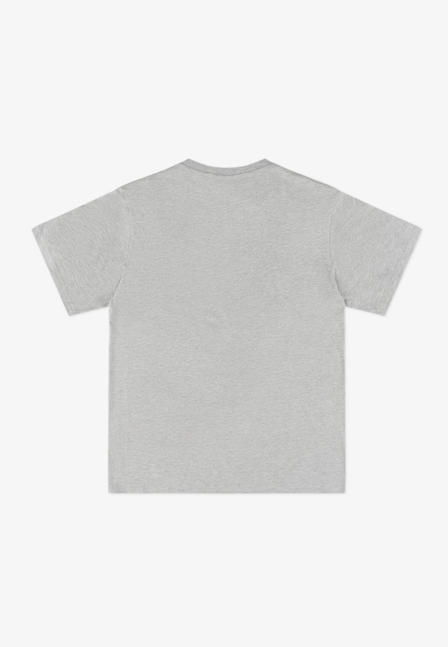 Koszulka męska t-shirt Prosto Infine szara
