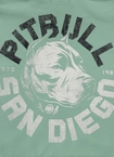 Bluza męska z kapturem Pitbull Pit Bull Dog SD ZIP miętowa zielona
