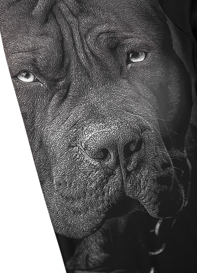 Leginsy techniczne Pit Bull Pitbull Leggins Born in 1989 czarne