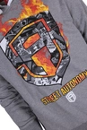 Bluza z kapturem Street Autonomy Fuck 3 grey
