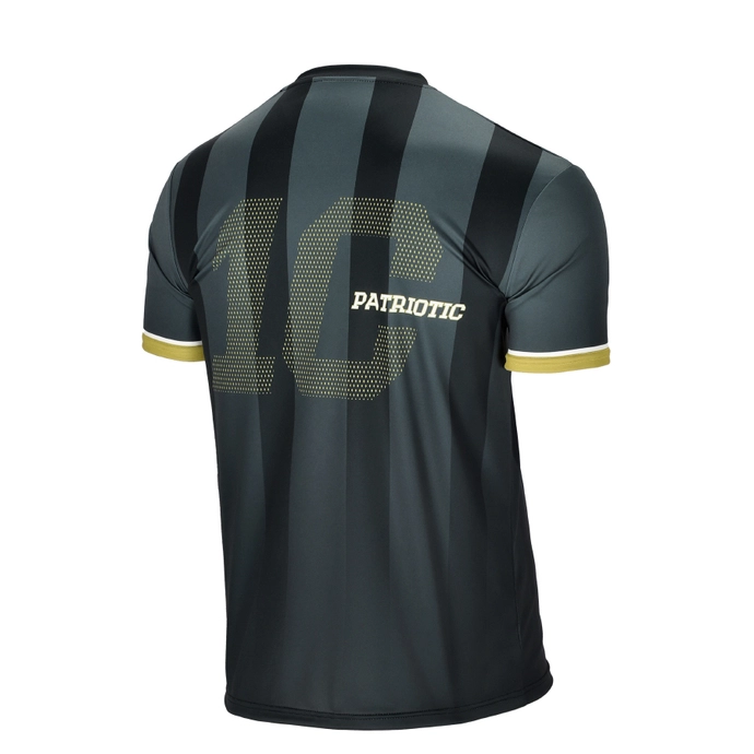 Koszulka męska T-shirt Patriotic 1C czarna