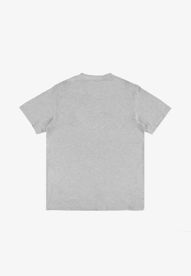 Koszulka męska t-shirt Prosto Biglog szara