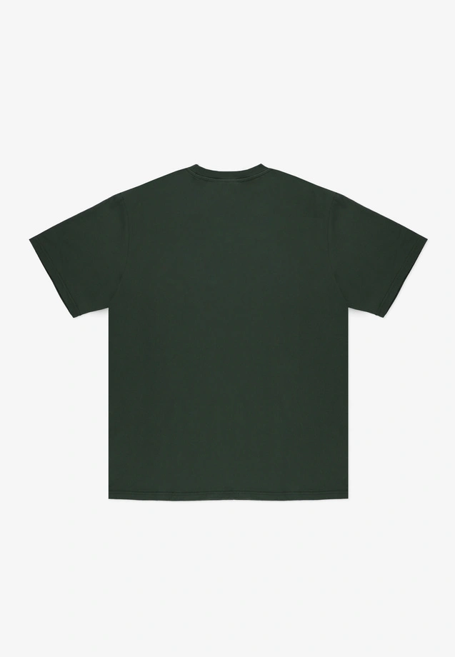 Koszulka męska t-shirt Prosto Team zielona
