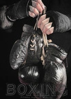 Bluza męska bez kaptura Pitbull Pit Bull Boxing FD black